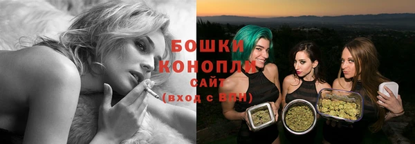 гидра Нея
