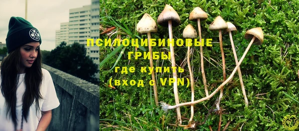 гидра Нея