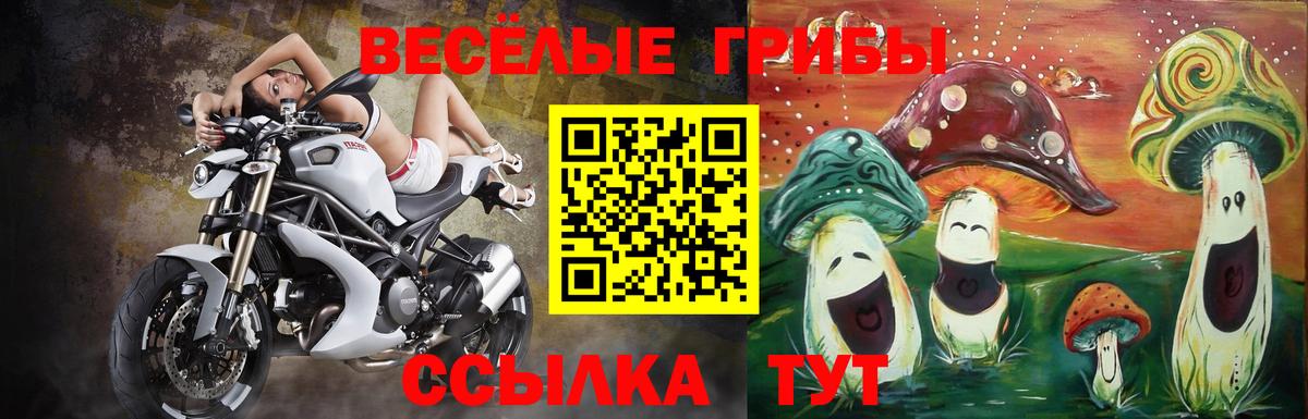 Галлюциногенные грибы Cubensis Кизилюрт