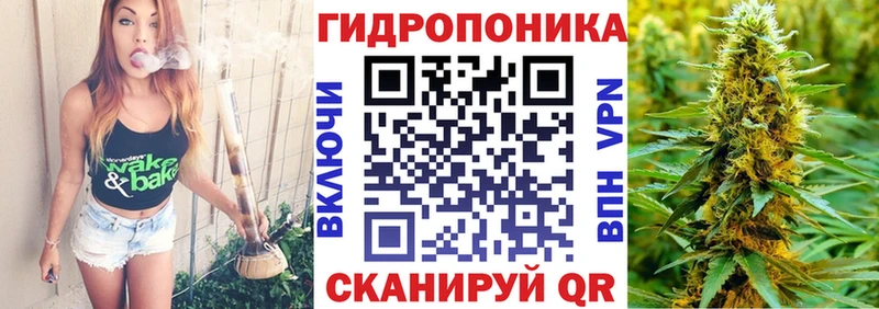 MEGA вход  купить наркоту  Кизилюрт  Бошки марихуана SATIVA & INDICA 
